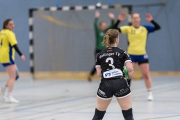 Bild 281 - F HSG Pinnau2 - Rellinger TV2 : Ergebnis: 27:20